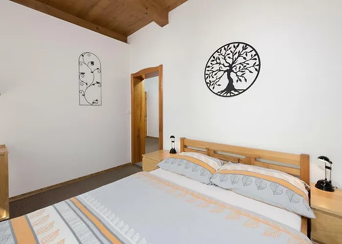 Solaris Janov nad Nisou