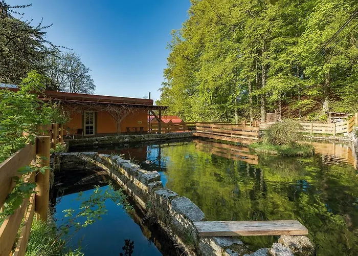 Solaris * Janov nad Nisou